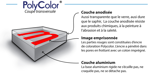 Polycolor schematic
