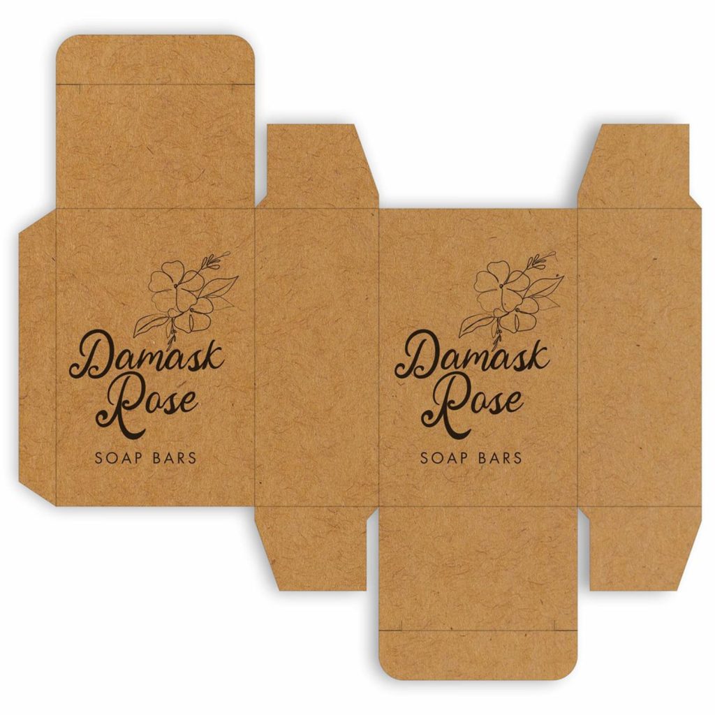 Impression Single Pass sur emballage carton kraft pour plantes à emporter