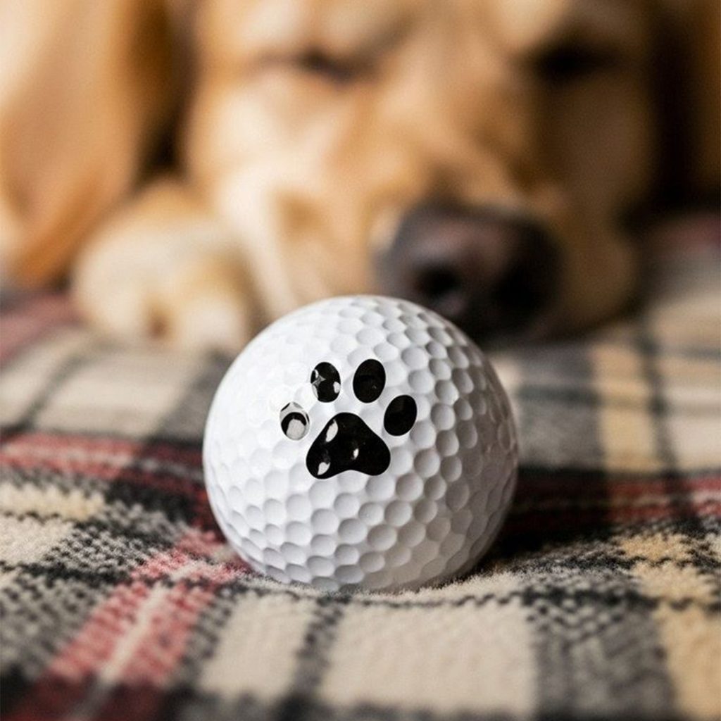 Personnalisation en tampographie d'un balle pour animaux