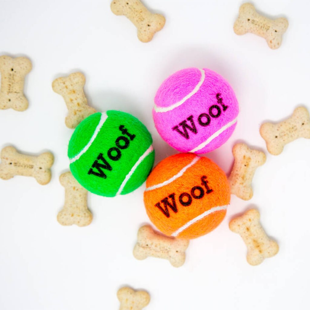 Personnalisation en tampographie de balles pour chien