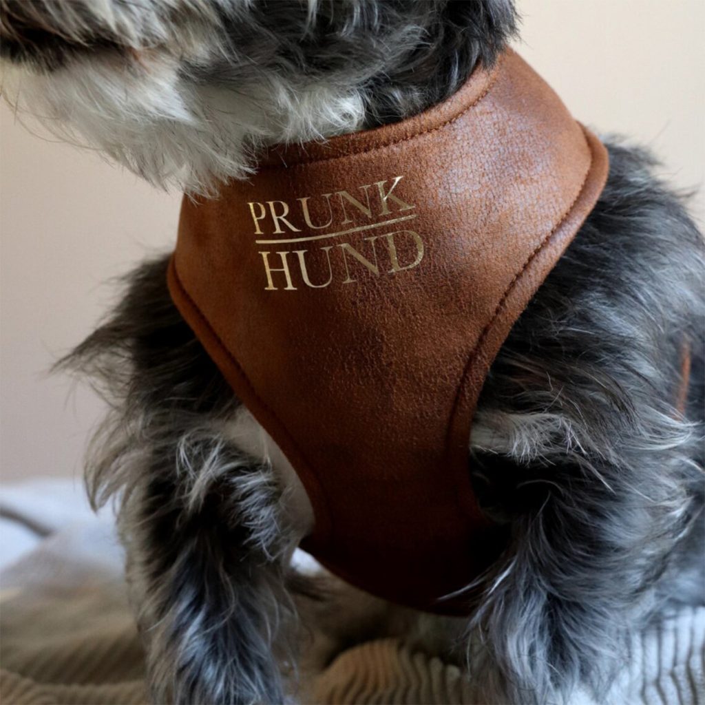 Marquage personnalisé en tampographie sur un harnais pour chien